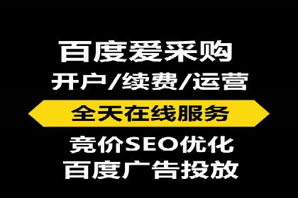 SEM广告投放的技巧与策略——成功案例分享
